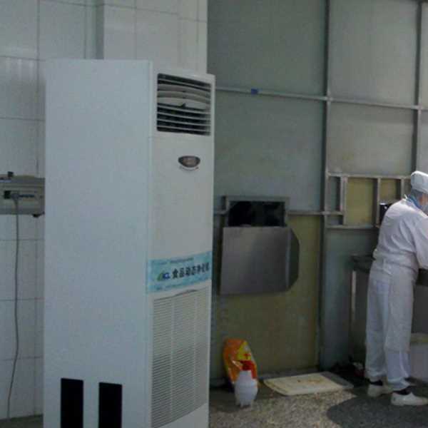 孝感食品正负离子空气杀菌器